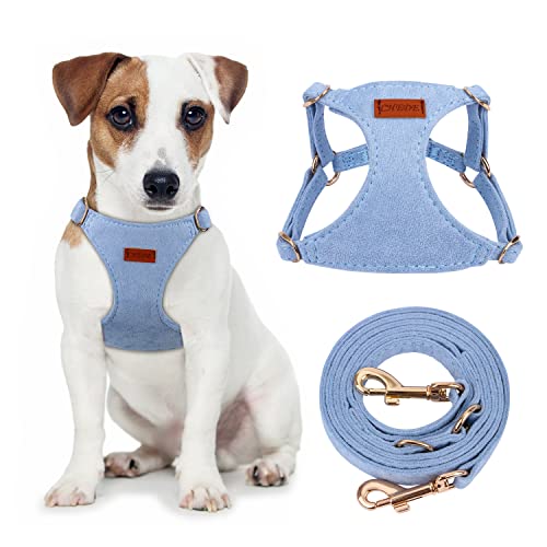 CHEDE No Pull Puppy Harness and Multifunction Dog Leash Set - 8 Colors Soft Adjustable No Choke Escape Proof Cute ,Lightweight Pet Vest Harness for Small and Medium Dog (Größe S, Blau) von chede