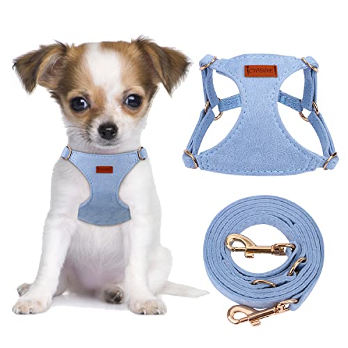 CHEDE No Pull Puppy Harness and Multifunction Dog Leash Set - 8 Colors Soft Adjustable No Choke Escape Proof Cute ,Lightweight Pet Vest Harness for Small and Medium Dog (XXS, Blue) von chede