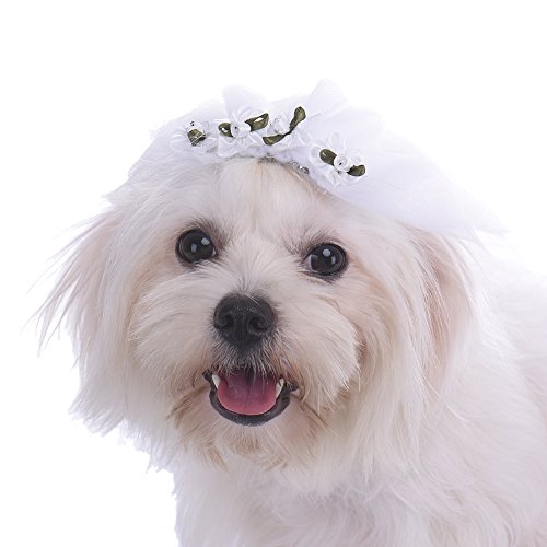 Pet Hochzeit Kopfschmuck Hund Katze Puppy weiß Spitze Prinzessin Schleier Haarspange für Braut Haar Zubehör Pets Hochzeit von chendongdong
