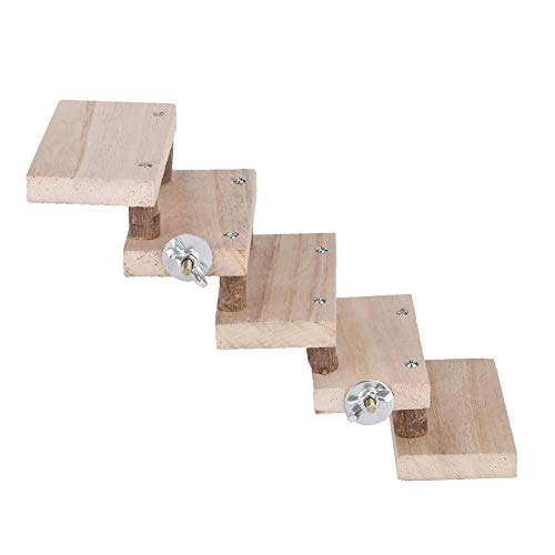 Haustier Spielzeug, Hamster Spielzeug, 5 Schichten Geschenkkäfig Zubehör sicher für Hamster Mäuse von chengong