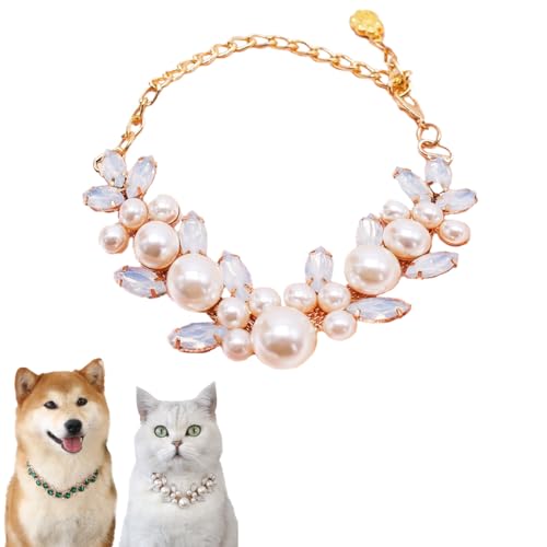 Hundehalsband und Katzenhalsband, Goldkette, verstellbar, Strass-Halsband mit niedlicher Haustierpfote für kleine, mittelgroße Haustiere, Katzen, Hunde, Kätzchen, Welpen, Perle, L Hundehalsband und Katzenhalsband, Goldkette, verstellbar, Strass-Halsband mit niedlicher Haustierpfote für kleine, mittelgroße Haustiere, Katzen, Hunde, Kätzchen, Welpen, Perle, L von chichendianzi