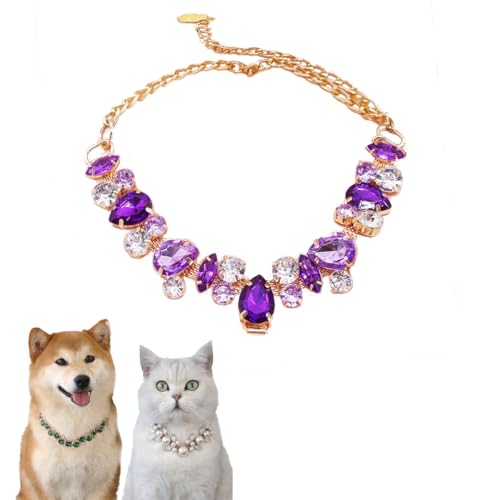 Hundehalsband und Katzenhalsband, Goldkette, verstellbar, Strass-Halsband mit niedlicher Haustierpfote für kleine, mittelgroße Haustiere, Katzen, Hunde, Kätzchen, Welpen (Pueple, M) von chichendianzi