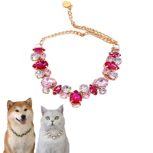 Hundehalsband und Katzenhalsband, Goldkette, verstellbar, Strass-Halsband mit niedlicher Haustierpfote für kleine, mittelgroße Haustiere, Katzen, Hunde, Kätzchen, Welpen (Rosa, M) von chichendianzi