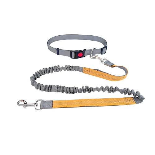 Reflektierende Hundeleine mit Stoßdämpfung, Laufleine, verstellbarer Gürtel, 65–120 cm, einziehbares Seil, 125–180 cm (Grau + Orange) von chichendianzi