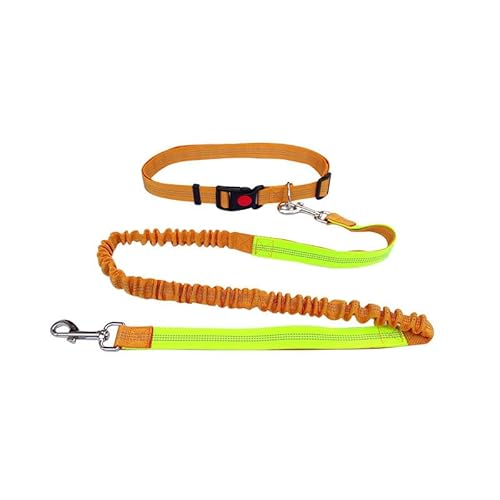 Reflektierende Hundeleine mit Stoßdämpfung, Laufleine, verstellbarer Gürtel, 65–120 cm, einziehbares Seil, 125–180 cm (Orange + Grün) von chichendianzi