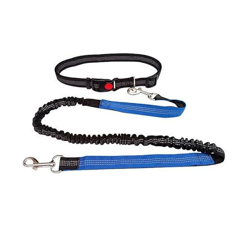 Reflektierende Hundeleine mit Stoßdämpfung, Laufleine, verstellbarer Gürtel, 65–120 cm, einziehbares Seil, 125–180 cm (Schwarz + Blau) von chichendianzi
