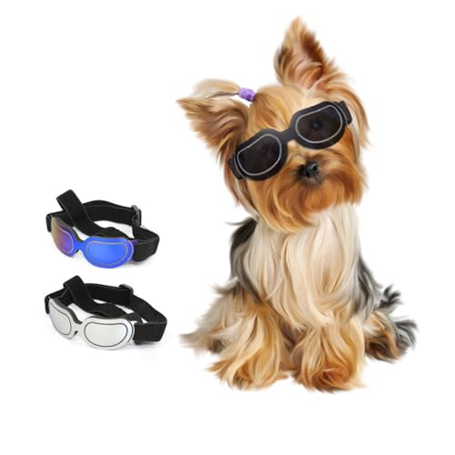 Hundebrille für kleine Rassen, Welpen-Sonnenbrille, UV-Schutz, Sommer-Augenschutz für kleine Hunde, Outdoor-Fahren, Reiten, Winter, Antibeschlag-Haustier-Schneebrille (schwarz) von chichenshangwu