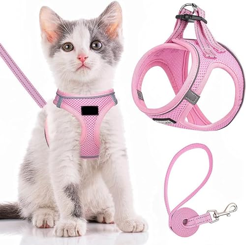 Hundegeschirr für kleine Hunde und Katzen, weiches Netzgewebe, reflektierend, leicht, atmungsaktiv, sichtbar im Dunkeln, mit Blumenmuster, Komfort für Gehen, Training (Rosa, XL) von chichenshangwu