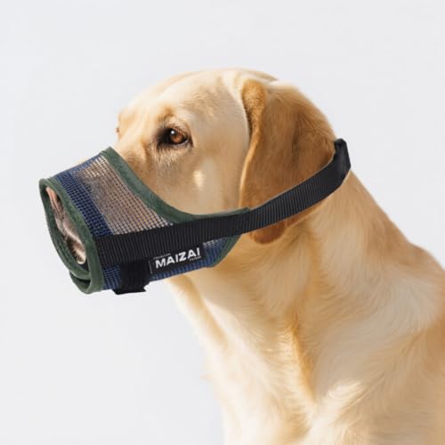 Hundemaulkorb, weiches Netzgewebe für kleine, mittelgroße und große Hunde, verhindert Beißen und Bellen, verstellbare Mundabdeckung, Maulkorb für Hunde, ermöglicht Hecheln, Trinken (Militärgrün, M) Hundemaulkorb, weiches Netzgewebe für kleine, mittelgroße und große Hunde, verhindert Beißen und Bellen, verstellbare Mundabdeckung, Maulkorb für Hunde, ermöglicht Hecheln, Trinken (Militärgrün, M) von chichenshangwu