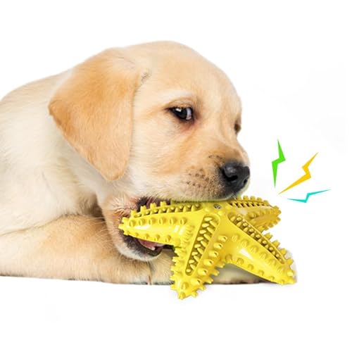chichenshangwu Hundespielzeug für aggressive Kauer, Zahnbürstenspielzeug, langlebig, quietschend, interaktives Seestern-Welpenspielzeug für kleine, mittelgroße und große Rassen (Gelb) von chichenshangwu