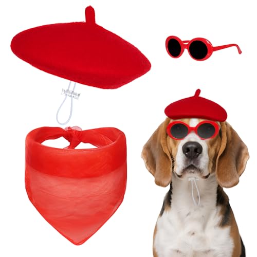 Baskenmütze für Hunde, inklusive Barett-Schal, Brille für kleine Hunde, Katzenpuppe von choyaxo
