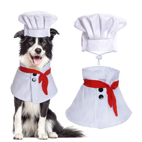 choyaxo Haustier-Kochkostüm, Kochmütze mit rotem Schal, Halloween-Kostüm für kleine Haustiere, Hunde, Katzen (klein) von choyaxo