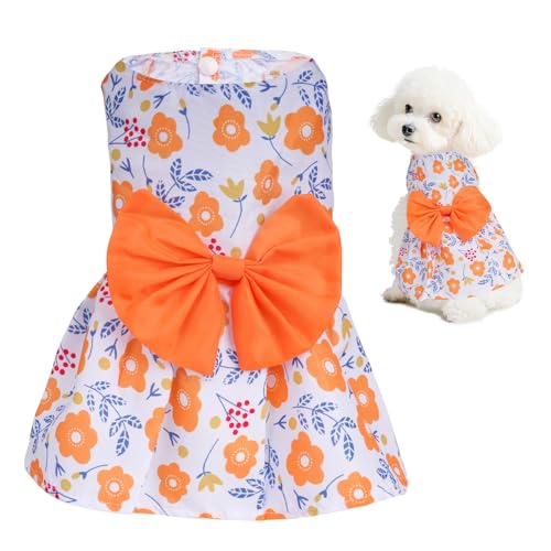 choyaxo Hundekleid mit Blumenmuster, niedlicher Hunderock, Haustierkleid, Sommerkleidung für Welpen, kleine Katzen choyaxo Hundekleid mit Blumenmuster, niedlicher Hunderock, Haustierkleid, Sommerkleidung für Welpen, kleine Katzen von choyaxo