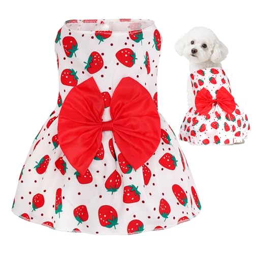 choyaxo Hundekleid mit Blumenmuster, niedlicher Hunderock, Haustierkleid, Sommerkleidung für Welpen, kleine Katzen choyaxo Hundekleid mit Blumenmuster, niedlicher Hunderock, Haustierkleid, Sommerkleidung für Welpen, kleine Katzen von choyaxo