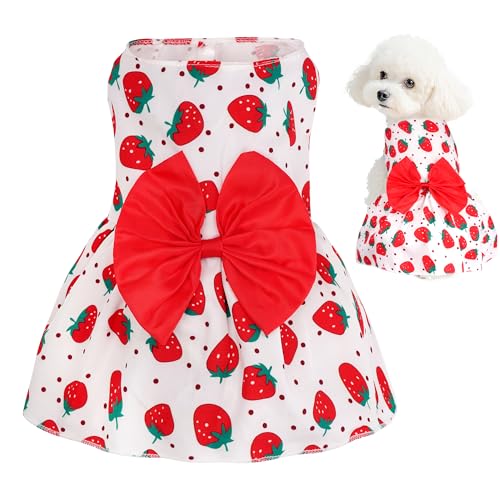 choyaxo Hundekleid mit Blumenmuster, niedlicher Hunderock, Haustierkleid, Sommerkleidung für Welpen, kleine Katzen von choyaxo