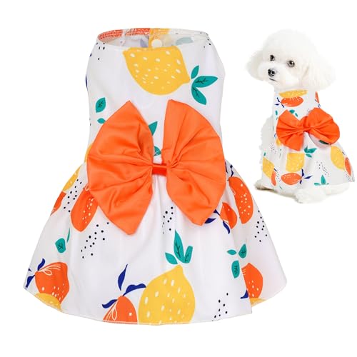 choyaxo Hundekleid mit Blumenmuster, niedlicher Hunderock, Haustierkleid, Sommerkleidung für Welpen, kleine Katzen choyaxo Hundekleid mit Blumenmuster, niedlicher Hunderock, Haustierkleid, Sommerkleidung für Welpen, kleine Katzen von choyaxo