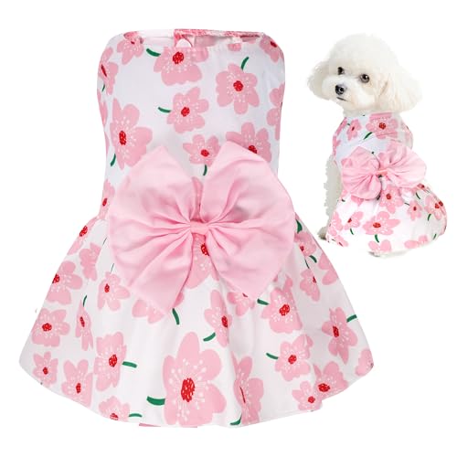 choyaxo Hundekleid mit Blumenmuster, niedlicher Hunderock, Haustierkleid, Sommerkleidung für Welpen, kleine Katzen choyaxo Hundekleid mit Blumenmuster, niedlicher Hunderock, Haustierkleid, Sommerkleidung für Welpen, kleine Katzen von choyaxo