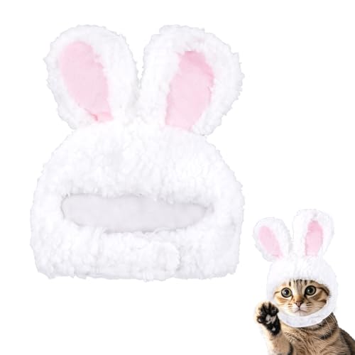 choyaxo Katze, Hase, Hase, Hut mit Ohren, Katzenkostüm für Kätzchen, kleine Hunde, Osterkostüm-Zubehör von choyaxo