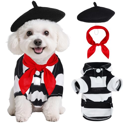 choyaxo Künstler-Hundekostüm, inkl. Baskenmütze für Künstler, klein, quadratisch, Schal, Hemden für Halloween von choyaxo