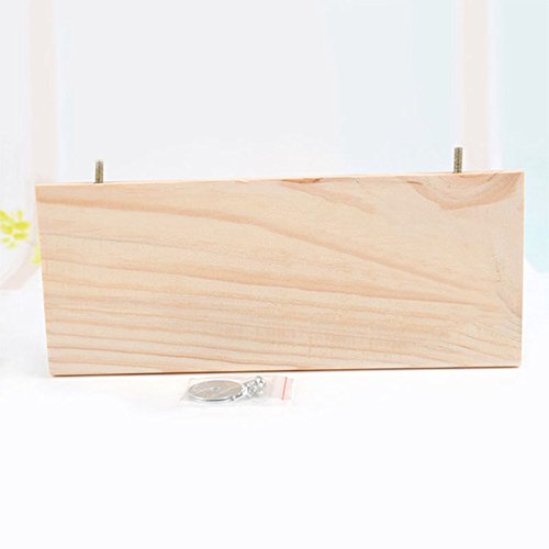 ciciglow 13 * 28 cm Großes Holzsprungbrett für Kleine Haustiere, Langlebig und Sicher, Bietet Aktive Beobachtung und Körperliche Bewegung von ciciglow