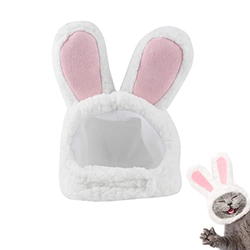 ciciglow Hasenohren für Katzen, süßes Kostüm, Plüsch-Kaninchenmütze für Katzen und kleine Hunde, Welpen, Partykostüm, Halloween-Zubehör, Kopfbedeckung ciciglow Hasenohren für Katzen, süßes Kostüm, Plüsch-Kaninchenmütze für Katzen und kleine Hunde, Welpen, Partykostüm, Halloween-Zubehör, Kopfbedeckung von ciciglow