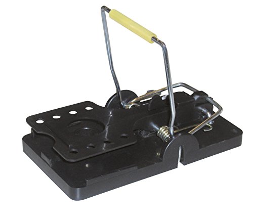 cit Kerbl 299834 Rattenfalle Snapper, einzeln cit Kerbl 299834 Rattenfalle Snapper, einzeln von cit