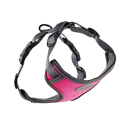 cn herb Pet Traction Explosionsgeschütztes Punching-Brustgeschirr für Brust und Rücken, Traktionsseil, Größe M (5,4–14,5 kg), Lila von cn herb