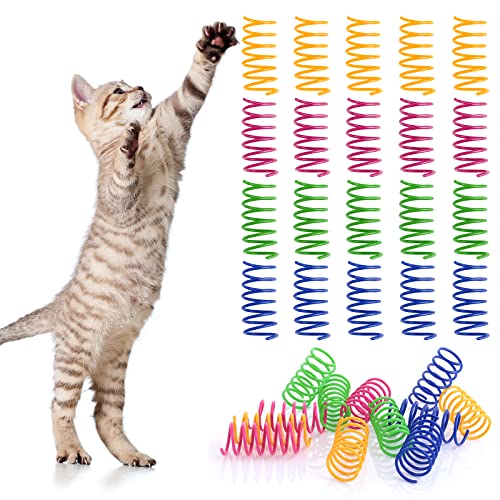 cobee Cat Spring Toys 20pcs Kätzchen Bunte Feder Katzenspielzeug BPA-frei Kunststoffspiralfedern Interaktives Spielzeug Kunststoffspiralfedern Interaktiv für Kätzchen Swatting Beißendes Jagdspielzeug von cobee