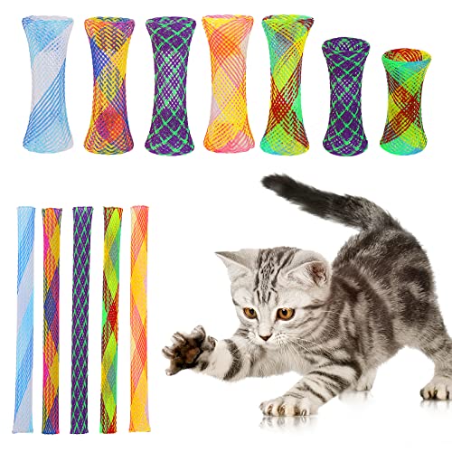 cobee Cat Tube Federspielzeug, 20 Stück Interaktives Katzenfederspielzeug Buntes Katzenspielzeug für Innenkatzen Lustiges Katzenspielspielzeug für Katzenkätzchen cobee Cat Tube Federspielzeug, 20 Stück Interaktives Katzenfederspielzeug Buntes Katzenspielzeug für Innenkatzen Lustiges Katzenspielspielzeug für Katzenkätzchen von Cobee