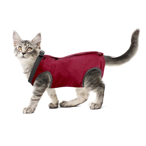 cobee Professioneller Genesungsanzug für Katzen bei Bauchwunden oder Hautkrankheiten, Kätzchen, Chirurgie, Genesungsanzug, E-Halsband-Alternative für Katzen und Hunde, nach Operationen (Größe S, Rot) von Cobee