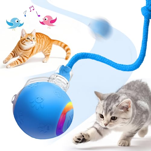 Interaktives Katzenspielzeug, 2025 Neu Katzenspielzeug Selbstbeschäftigung, Chewie Rolling Ball mit Vogelgesang LED 3 Modi Katzenball Elektrisch 360° Rolling Smart Ball für Katzen Hunde (Blau) von comepew