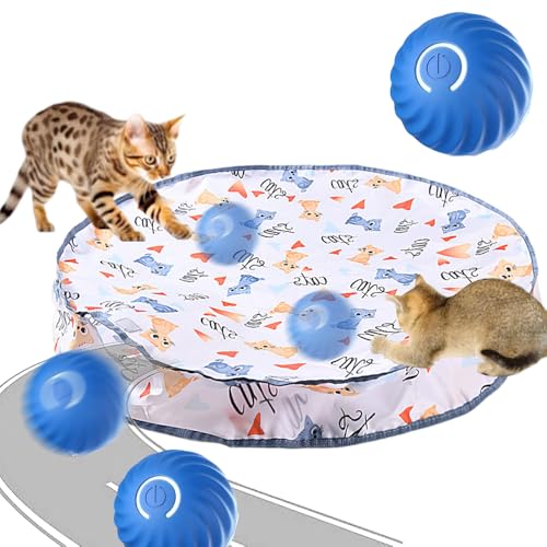 comepew Interactive Cat Toys, 2024 Neuest 2 in 1 Simuliertes Interaktives Jagdkatzenspielzeug, Guitar Cat Toy Doppelschicht Jagd Katze Matte Spielzeug für Stimuliert Den Jagdinstinkt (Weiß, +B Ball) comepew Interactive Cat Toys, 2024 Neuest 2 in 1 Simuliertes Interaktives Jagdkatzenspielzeug, Guitar Cat Toy Doppelschicht Jagd Katze Matte Spielzeug für Stimuliert Den Jagdinstinkt (Weiß, +B Ball) von comepew