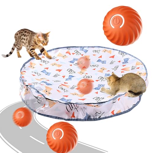 comepew Interactive Cat Toys, 2024 Neuest 2 in 1 Simuliertes Interaktives Jagdkatzenspielzeug, Guitar Cat Toy Doppelschicht Jagd Katze Matte Spielzeug für Stimuliert Den Jagdinstinkt (Weiß, +O Ball) comepew Interactive Cat Toys, 2024 Neuest 2 in 1 Simuliertes Interaktives Jagdkatzenspielzeug, Guitar Cat Toy Doppelschicht Jagd Katze Matte Spielzeug für Stimuliert Den Jagdinstinkt (Weiß, +O Ball) von comepew