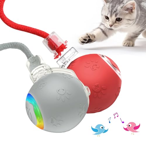 comepew Interaktives Katzenspielzeug, 2025 Neu Katzenspielzeug Selbstbeschäftigung, Chewie Rolling Ball mit Vogelgesang LED 3 Modi Katzenball Elektrisch 360° Rolling Smart Ball für Katzen Hunde (R+G) comepew Interaktives Katzenspielzeug, 2025 Neu Katzenspielzeug Selbstbeschäftigung, Chewie Rolling Ball mit Vogelgesang LED 3 Modi Katzenball Elektrisch 360° Rolling Smart Ball für Katzen Hunde (R+G) von comepew