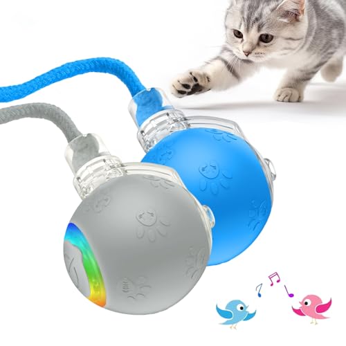 comepew Interaktives Katzenspielzeug, 2025 Neu Katzenspielzeug Selbstbeschäftigung, Chewie Rolling Ball mit Vogelgesang LED 3 Modi Katzenball Elektrisch 360° Rolling Smart Ball für Katzen Hunde (B+G) comepew Interaktives Katzenspielzeug, 2025 Neu Katzenspielzeug Selbstbeschäftigung, Chewie Rolling Ball mit Vogelgesang LED 3 Modi Katzenball Elektrisch 360° Rolling Smart Ball für Katzen Hunde (B+G) von comepew