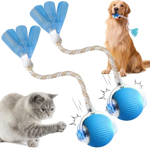 comepew Interaktives Katzenspielzeug Elektrisch, 2025 Neuer Katzenspielzeug Chewie Rolling Ball, Selbstbeschäftigung Interaktives Katzenspielzeug mit Libellenschwanz Unregelmäßige Bewegung (Blau*2) comepew Interaktives Katzenspielzeug Elektrisch, 2025 Neuer Katzenspielzeug Chewie Rolling Ball, Selbstbeschäftigung Interaktives Katzenspielzeug mit Libellenschwanz Unregelmäßige Bewegung (Blau*2) von comepew