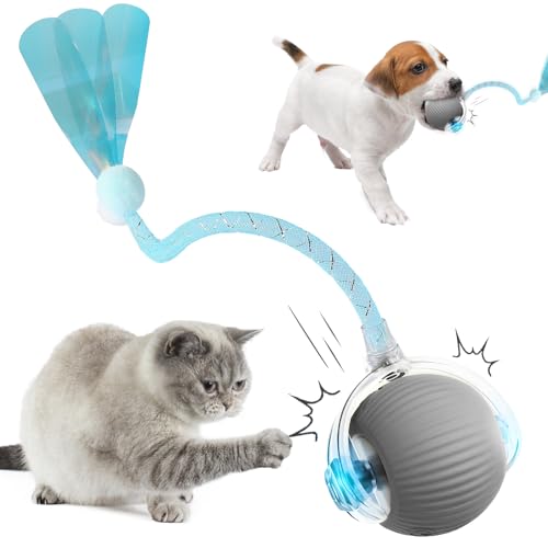 comepew Katzenspielzeug Elektrisch, 2025 Neu Chewie Rolling Ball, Katzenspielzeug Selbstbeschäftigung Interaktives Katzenspielzeug mit Libellenschwanz Unregelmäßige Bewegung Rollender Ball (Grau) von comepew