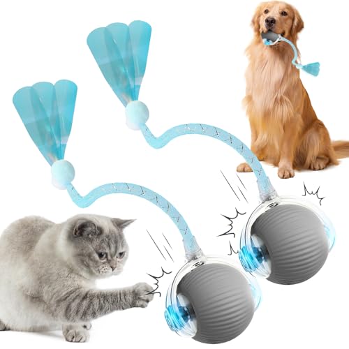 comepew Katzenspielzeug Elektrisch, 2025 Neu Chewie Rolling Ball, Katzenspielzeug Selbstbeschäftigung Interaktives Katzenspielzeug mit Libellenschwanz Unregelmäßige Bewegung Rollender Ball (Grau*2) comepew Katzenspielzeug Elektrisch, 2025 Neu Chewie Rolling Ball, Katzenspielzeug Selbstbeschäftigung Interaktives Katzenspielzeug mit Libellenschwanz Unregelmäßige Bewegung Rollender Ball (Grau*2) von comepew