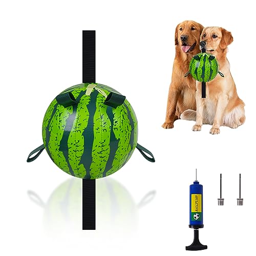 Interaktives Fußball-Spielzeug für Hunde, mit Haltegurten für Jolly, lustiges Wasserspielzeug für kleine und mittelgroße Hunde, 17,8 cm Ball von comerda