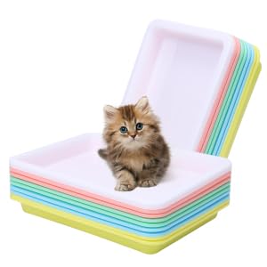 condinggen 10 Stück Reisetoilette, Mini-Katzentoilette, tragbare kleine Katzentoilette aus Kunststoff, wasserdichte Katzentoilette für Kätzchen, Hasen und Katzen von condinggen