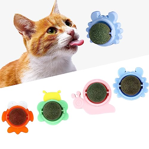 contailKY 4 Stück Katzenminze Bälle Spielzeug für Katzen, Natürliche Catnip Wall Balls Toys, Drehbare Essbare Katzenminze Leckbälle Leckereien für die Zahnreinigung von Kätzchen von contailKY