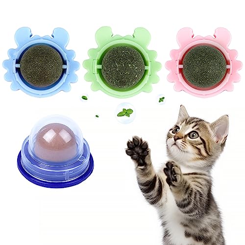 4 Stück Katzenminze Ball, Natürliche Catnip Ball Katzenminze Bälle Spielzeug Katze Zucker für Katzen Lecken, Rotierende Zahnreinigung Dental Katze Spielzeug, Katzenminze Spielzeug für Kätzchen von contailKY