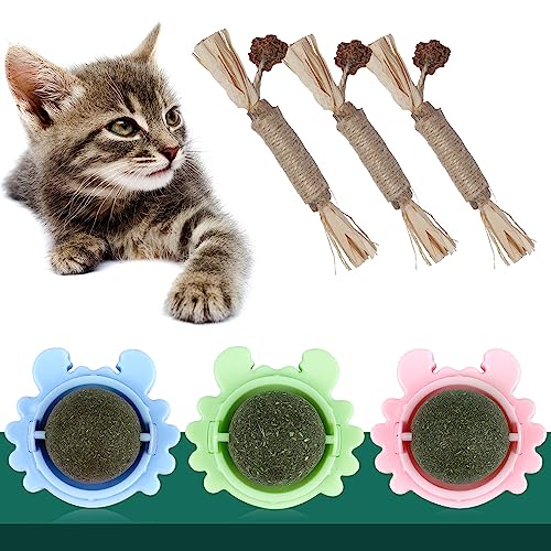 contailKY 3 Stück Katzenminze Ball Wand Spielzeug Catnip Ball, 3 Stück Katzenminze Sticks für Katzen, Matatabi Silvervine Kausticks für Katzen die Zahnpflege und Gegen Mundgeruch (6 Pack) von contailKY