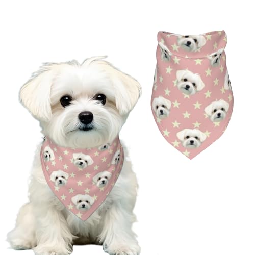 Personalisiertes Hundehalstuch, personalisiert mit Namen, Foto, Bestickt, Haustierschal für kleine, mittelgroße und große Hunde Personalisiertes Hundehalstuch, personalisiert mit Namen, Foto, Bestickt, Haustierschal für kleine, mittelgroße und große Hunde von coobopet