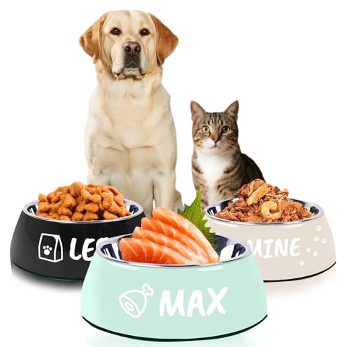 personalisierter Hundenapf mit Namen personalisierter gravierter Napf für Hund & Katze individueller Rutschfester langlebiger süßer Metallnapf personalisierter Hundenapf mit Namen personalisierter gravierter Napf für Hund & Katze individueller Rutschfester langlebiger süßer Metallnapf von coobopet