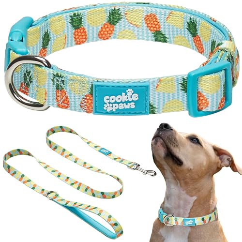 Cookie Paws Hundehalsband und Leine, weiches Neopren, gepolstert, bequem, stilvoll, langlebig und vielseitig, Ananas, Größe M von cookie paws