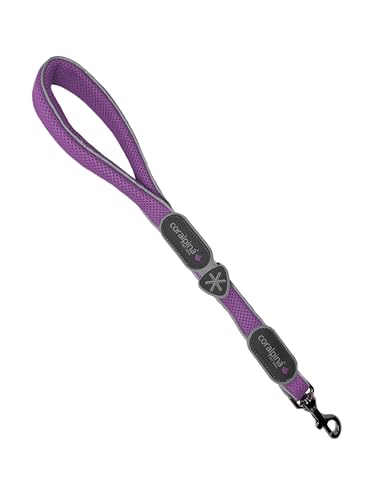 Coralpina - Cinquetorri Hundeleine für Hunde, einfach und robust, mit reflektierenden Teilen und gepolstertem Griff, mit Ring für Beutelhalter, Farbe Lila, Größe 9/10 Coralpina - Cinquetorri Hundeleine für Hunde, einfach und robust, mit reflektierenden Teilen und gepolstertem Griff, mit Ring für Beutelhalter, Farbe Lila, Größe 9/10 von coralpina