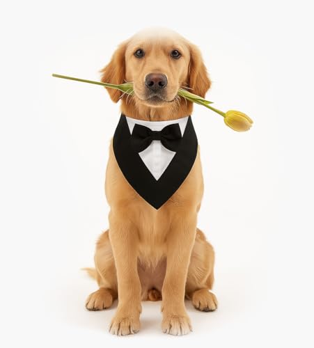Smoking-Halstuch für Hunde – Eleganter Hundekragen für Hochzeit, Geburtstag & Fotoshooting – Verstellbarer Haustier-Schal im Anzugstil – Festliches Hundeaccessoire (Smoking Schwarz/Weiß, L) von corimori