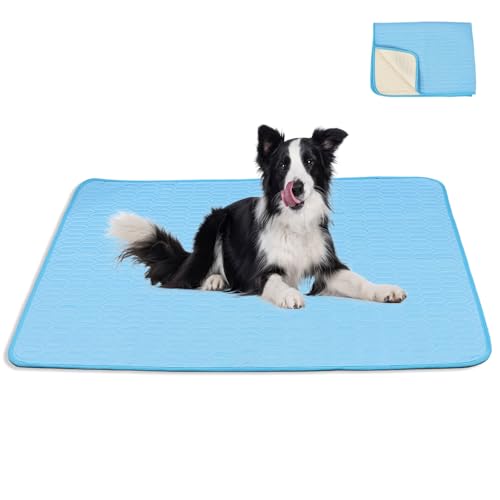 Kühlmatte für Hunde/Katzen, sofortige Kühlmatte im Sommer, Eisseide, Latex, rutschfest, für Auto, Innenbereich, Tourismus, 99 x 73 cm, Himmelblau Kühlmatte für Hunde/Katzen, sofortige Kühlmatte im Sommer, Eisseide, Latex, rutschfest, für Auto, Innenbereich, Tourismus, 99 x 73 cm, Himmelblau von cosylive