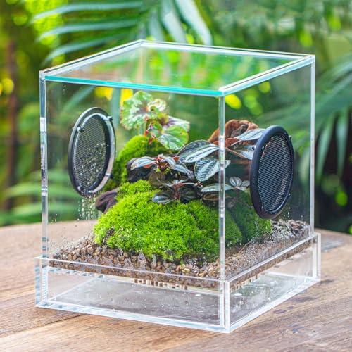 crapelles 21,6 x 21,6 x 24,6 cm großes geschlossenes Insektengehege aus Acryl mit Drainageboden und transparenter Schale, Terrarium-Lebensraumbox mit Netzschlitzen, für Pflanzen, Spinnen, kleine crapelles 21,6 x 21,6 x 24,6 cm großes geschlossenes Insektengehege aus Acryl mit Drainageboden und transparenter Schale, Terrarium-Lebensraumbox mit Netzschlitzen, für Pflanzen, Spinnen, kleine von crapelles